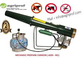 Canon Gun - Image 2